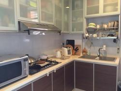 The Elegance @ Changi (D15), Apartment #103854722